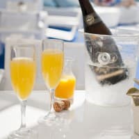 Mimosa