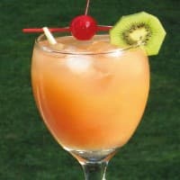 A Gilligan's Island
